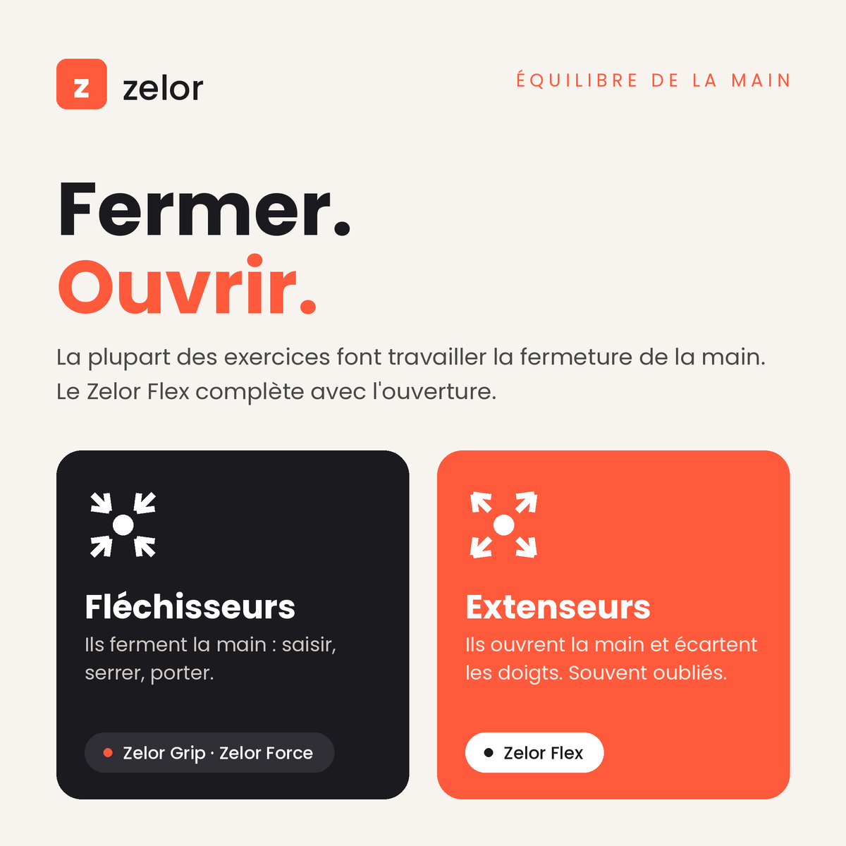Fléchisseurs et extenseurs : fermer et ouvrir la main